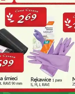 Cezar Delikatesy Rękawice domowe Ravi oferta