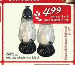 Cezar Delikatesy Znicz 25 cm oferta