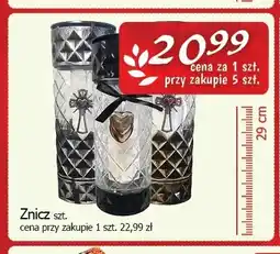 Cezar Delikatesy Znicz 29 cm oferta