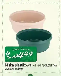 Cezar Delikatesy Miska plastikowa Florentyna oferta