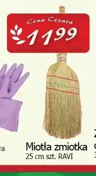 Cezar Delikatesy Miotła zmiotka 25 cm Ravi oferta