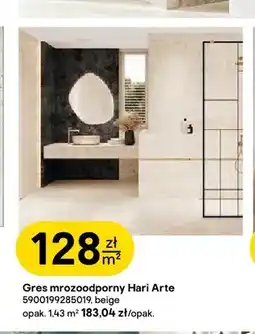 Castorama Gres mrozoodporny Hari Arte beige Tubądzin oferta
