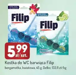 Avita Kostka do WC barwiąca Filip kwiatowa oferta
