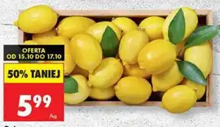 Biedronka Cytryna na wagę oferta