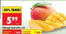 Biedronka Mango dojrzałe, szt oferta