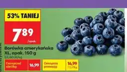 Biedronka Borówka amerykańska XL, opak oferta
