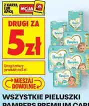 Biedronka Wszystkie pieluszki Pampers Premium Care oferta