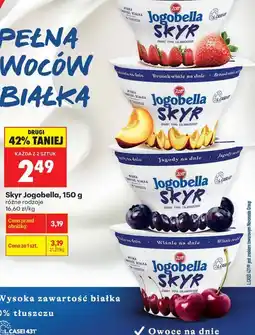 Biedronka Skyr Jogobella Zott oferta