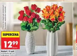 Biedronka Róża, 11 szt oferta