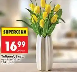 Biedronka Tulipan, 9 szt oferta