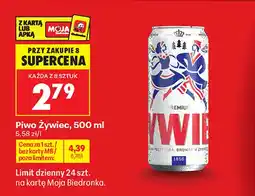 Biedronka Piwo Żywiec Premium oferta