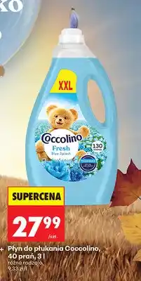 Biedronka Płyn do płukania Coccolino oferta