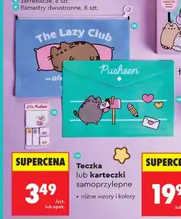 Biedronka Teczka Pusheen oferta