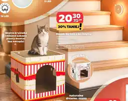 Netto Drapak dla kota oferta