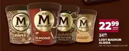 Stokrotka Market Lody MAGNUM ALGIDA oferta