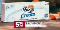 Stokrotka Market Chusteczki Foxy oferta