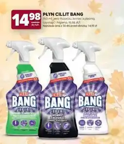 Stokrotka Market PŁYN CILLIT BANG oferta