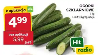 Ogórki szklarniowe
