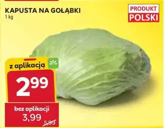 Stokrotka Market Kapusta na gołąbki oferta
