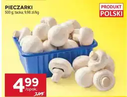 Stokrotka Market Pieczarki oferta