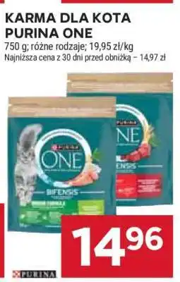 Stokrotka Market Karma dla kota Purina One oferta