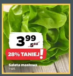 Netto Sałata masłowa oferta