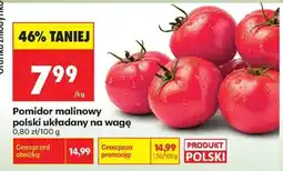 Biedronka Pomidor malinowy polski układany na wagę oferta