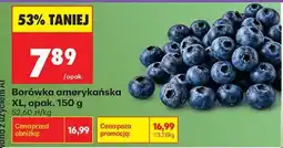 Biedronka Borówka amerykańska XL, opak. 150 g oferta