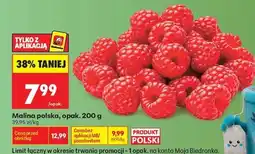 Biedronka Malina polska, opak. 200 g oferta
