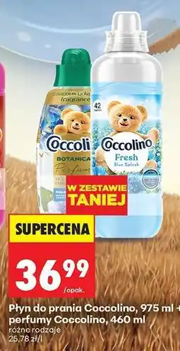 Biedronka Płyn do prania Coccolino, 975 ml + perfumy Coccolino, 460 ml oferta