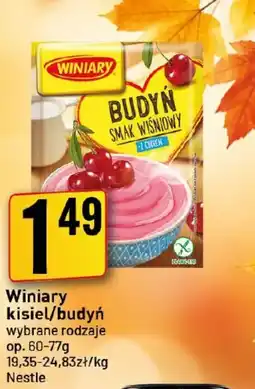 Market Jan Winiary budyń smak wiśniowy oferta