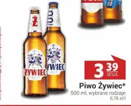 Nasz Sklep Piwo Żywiec oferta