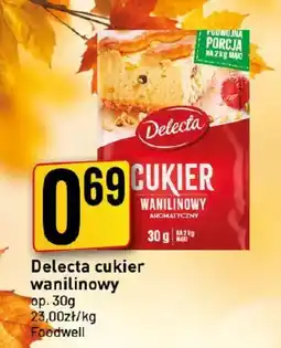 Market Jan Delecta cukier wanilinowy oferta
