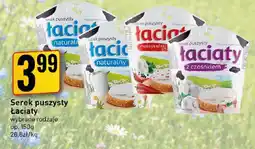 Market Jan Serek puszysty Łaciaty oferta