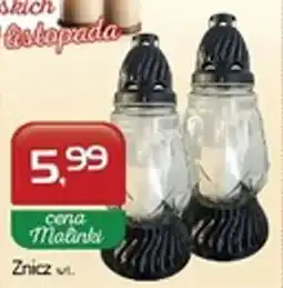 Malinka Market Znicz oferta