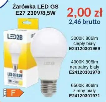 Żarówka LED GS