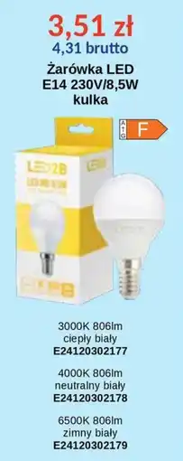 AT Żarówka LED E14 230V/8,5W kulka oferta
