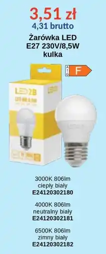 AT Żarówka LED kulka oferta