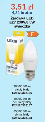 AT Żarówka LED świecekka oferta