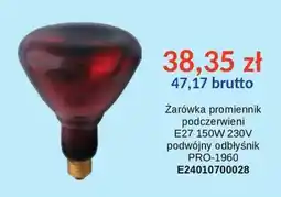AT Żarówka promiennik podczerwieni oferta