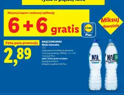Lidl Woda mineralna nałęczowianka oferta
