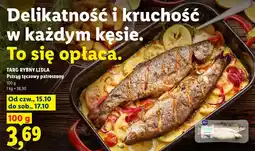 Lidl Pstrąg tęczowy patroszony oferta