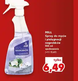 Kaufland Spray do nagrobków mill oferta