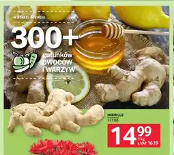 Selgros Imbir luz oferta