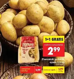 Biedronka Ziemniaki Ark Pol oferta
