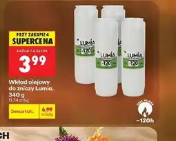 Biedronka Wkład do zniczy Lumia oferta
