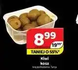 Delfin Kiwi kosz oferta