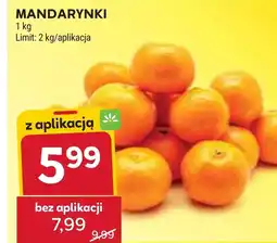 Stokrotka Mandarynki oferta