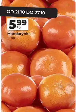 Odido Mandarynki oferta