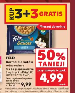Kaufland Karma dla kota Felix oferta